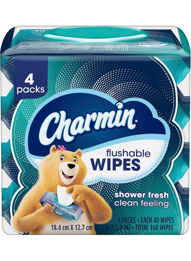 Charmin Flushable Wipes, 40 Wipes (Pack of 4), 160 Total Wipes - Image 1